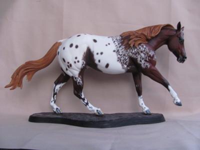 Custom Model - Appaloosa