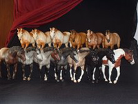 Breyer Indian Pony Congo Line