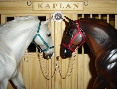 Sample Kaplan halters...