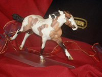 Just About Horses 2007 Prize Scallywag