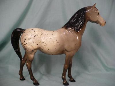 Old Mold Appaloosa Proud Arabian Mare