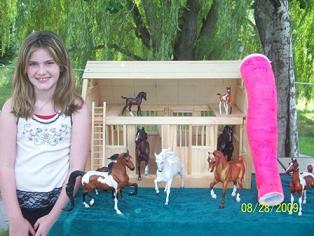 Natalie's Breyer Barn Collection