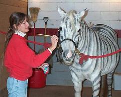 Sue Painting Gracie as a Zebra