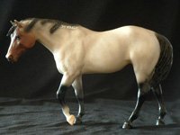 Indian Pony Cheyenne American Mustang