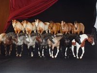 Breyer Indian Pony Congo Line