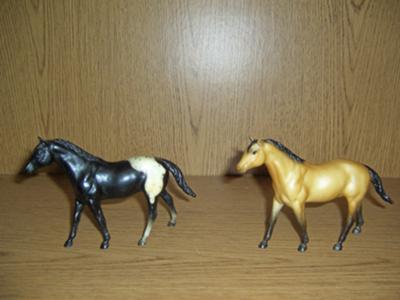 Paddock Pals - Quarter Horse Stallions