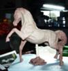 Custom model horse sculpture by Sheila Uva